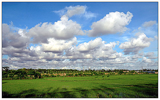 风景,地点,孟加拉,六月,2006年