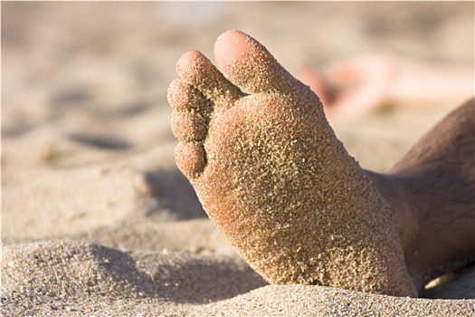 脚,沙子,海滩