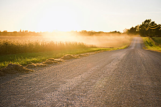 乡村道路,雾气,上方,地点,日出,密苏里,美国