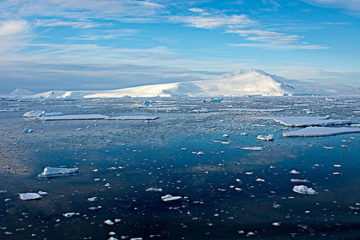南极,靠近,阿德莱德,岛屿,冰