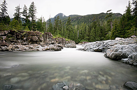 流水,河流,不列颠哥伦比亚省,加拿大