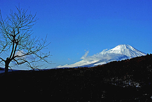 富士山