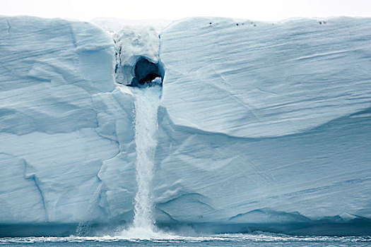 北极,斯瓦尔巴特群岛,特写,水,倒出,冰河,脸