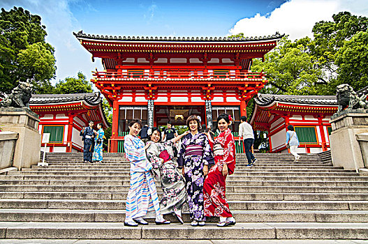 日本,女人,穿戴,传统服饰,和服,樱花,注视,清水寺,京都