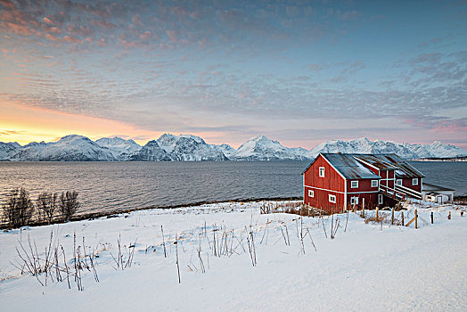 传统,红房,雪景,日落,峡湾,阿尔卑斯山,特罗姆瑟,挪威,欧洲