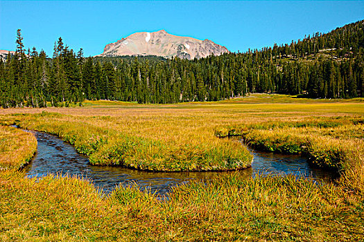 溪流,草地,拉森火山国家公园,加利福尼亚,美国