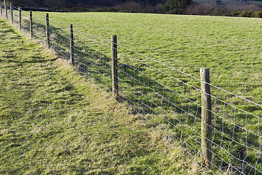 金属,栅栏,分开,两个,草,地点,笔直,铁丝栅栏,农场,乡村,风景