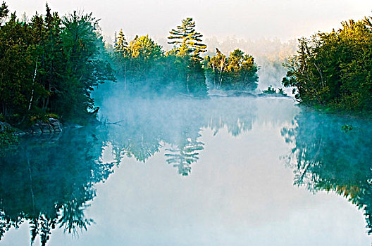雾,日出,基拉尼省立公园,安大略省,加拿大