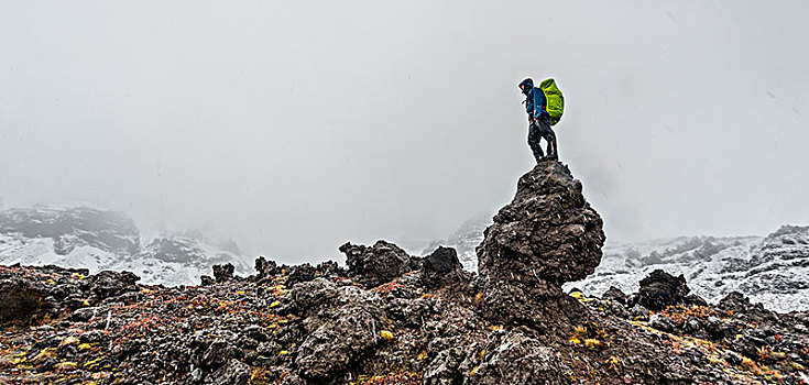 远足,站立,石头,汤加里罗,高山,雪,东加里罗国家公园,南部地区,新西兰,大洋洲