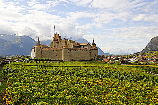 城堡,沃州,瑞士,欧洲