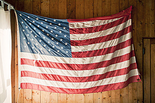 美洲,旗帜,爱国