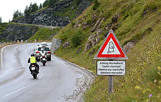 警告标识,格洛克纳高高山道,高,陶安,国家公园,奥地利,欧洲