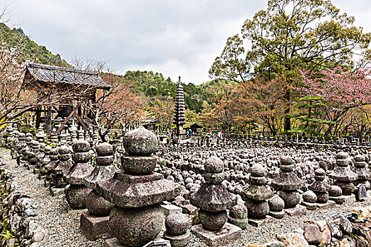 石头,佛像,排列,广场,庙宇,岚山,京都,日本
