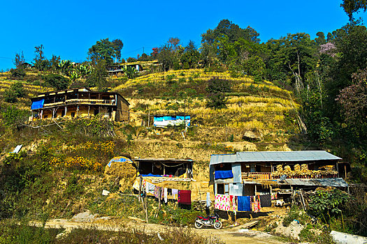 梯田,农场,靠近,纳加阔特,巴克塔普尔,地区,加德满都山谷,尼泊尔,亚洲