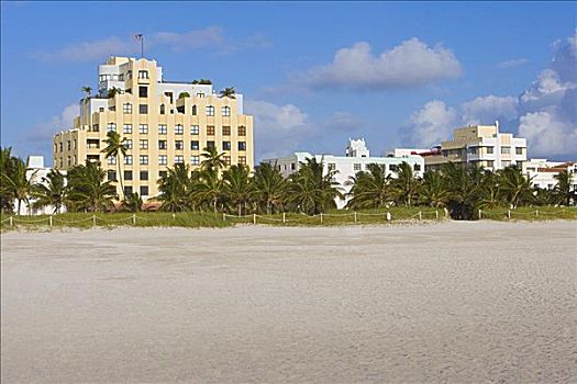 棕榈树,正面,建筑,南海滩,迈阿密海滩,佛罗里达,美国