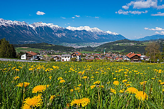 乡村,蒲公英,地点,正面,因斯布鲁克,背影,旅店,山谷,山,雪,阿尔卑斯山,提洛尔,奥地利,欧洲