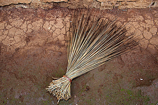 扫帚,棕榈叶,喀麦隆,非洲