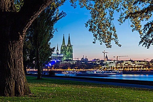 光亮,科隆大教堂,天际线,黄昏,莱茵河,科隆,德国
