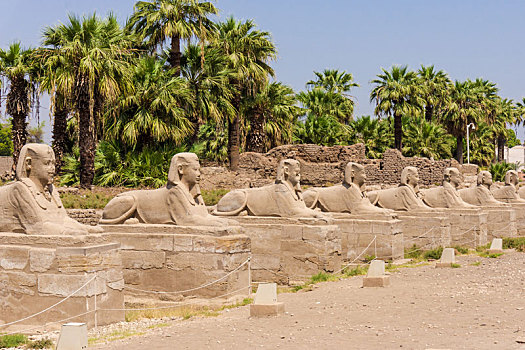 狮身人面像,局部,卢克索神庙,埃及