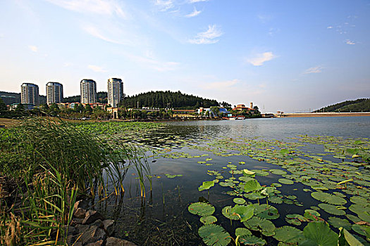 南京卧龙湖