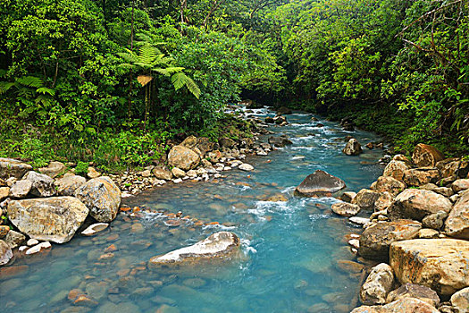 河,蓝色,矿物质,火山国家公园,哥斯达黎加,中美洲