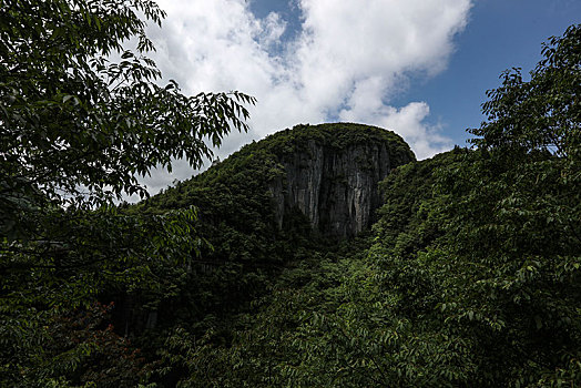 恩施,大峡谷,风景,景点,旅游,高山,山区,神秘,树木,植被,石头,鄂西,奇石,峡谷,壮观