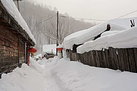 北国山沟沟