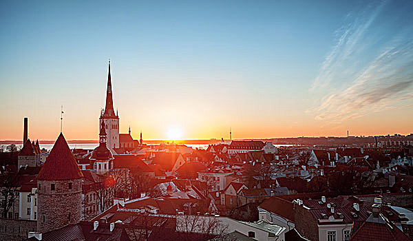 早晨,城市,日出,老城,塔林,爱沙尼亚