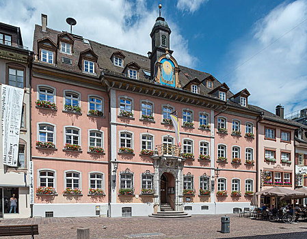 历史,市政厅,步行区,老城,巴登符腾堡,德国,欧洲