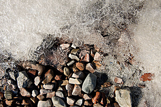 格陵兰,特写,新,秋天,海冰,岩石,海滩,大幅,尺寸