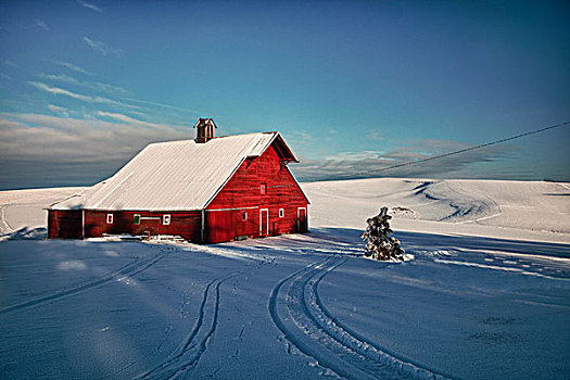 美国,爱达荷,老,红色,谷仓,卡车,暴风雪