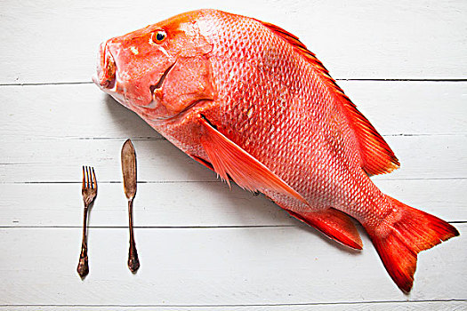 新鲜,红鲷鱼,刀,叉子