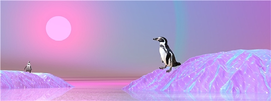 企鹅,南极