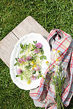 花香,彩色,野花,白色背景,瓷盘,草坪