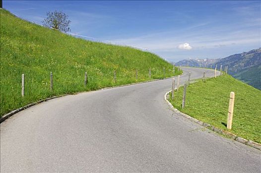 道路,山坡,瑞士