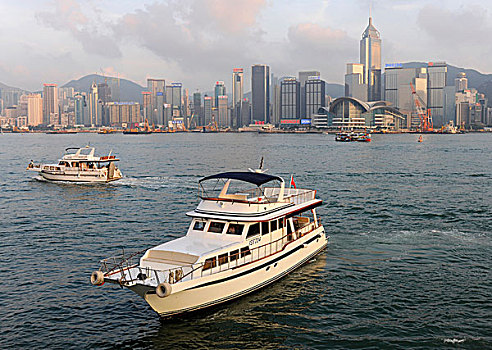 船,正面,香港,天际线,亚洲