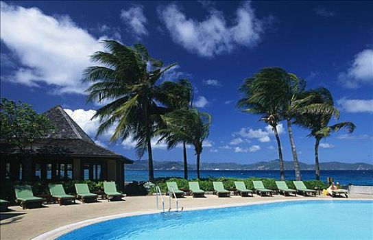 游泳池,岛屿,海滩,胜地,英属维京群岛,加勒比海