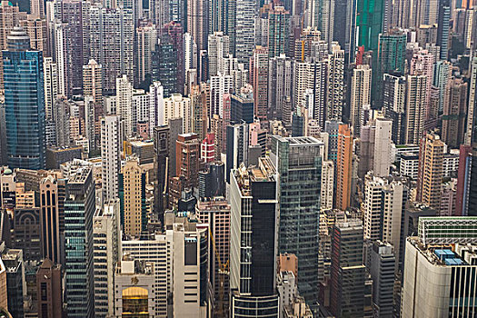 香港,城市,市中心