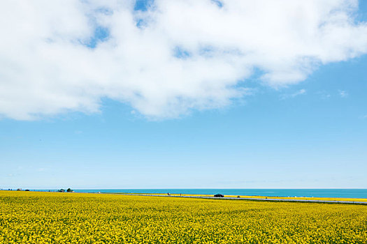 青海风景