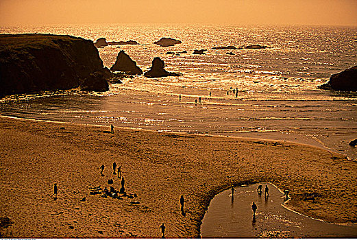人,海滩,加利福尼亚,美国