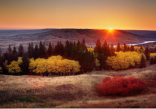 秋天,日出,柏树山省立公园,艾伯塔省,加拿大