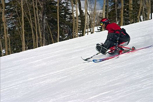 滑雪,斜坡,特柳赖德,科罗拉多
