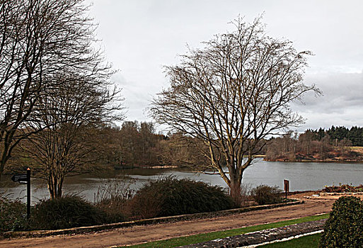 位于伦敦近郊牛津郡伍德斯托克镇,woodstock,的丘吉尔庄园,也称布莱尼姆宫,blenheimpalace