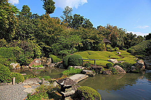 日本,京都,禅,佛教寺庙,花园