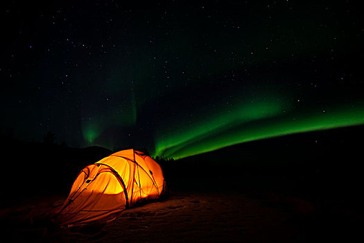 光亮,探险,帐蓬,北极光,极光,绿色,靠近,育空地区,加拿大