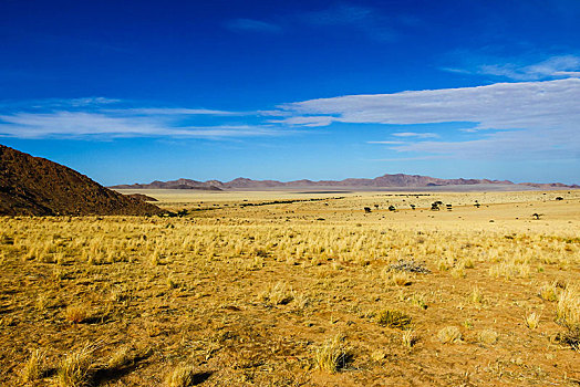 风景,靠近,南方,纳米比亚,非洲
