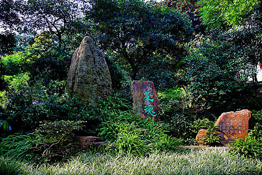 重庆南山植物园茶魂园