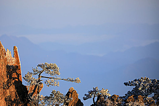 黄山石笋峰雾凇