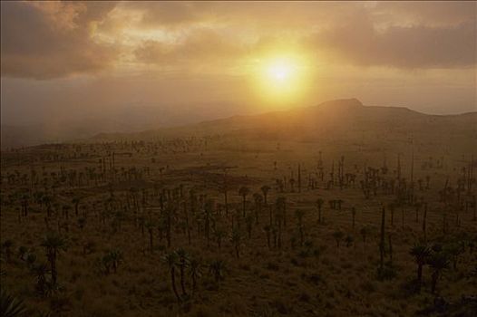 太阳,上方,高原,塞米恩国家公园,国家公园,埃塞俄比亚