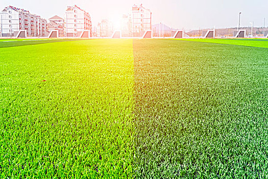 足球场,绿色,草坪